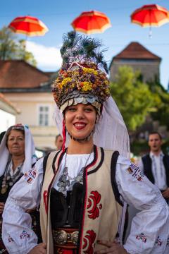 Izjemen obisk zaznamoval 50. Dneve narodnih noš in oblačilne dediščine v Kamniku (Blaž T. Muc)  (122)